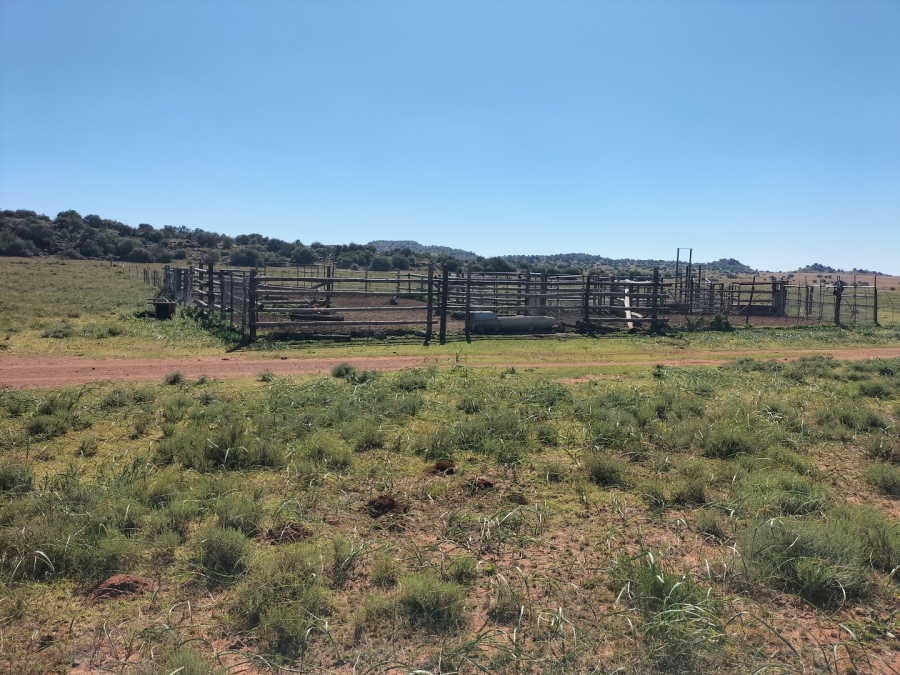 4 Bedroom Property for Sale in Bloemfontein Rural Free State